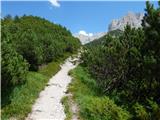 Bachwinkl - Peter Wiechenthaler Hütte